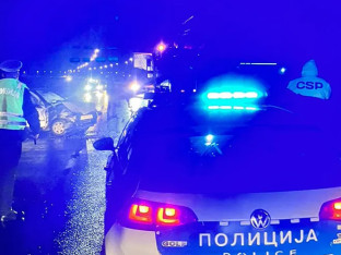 Davidović priznao krivicu za tragičnu nesreću kod Gradiške