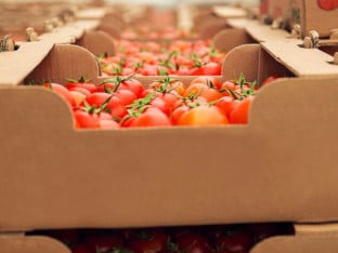 Nova pravila za izvoz prehrambenih proizvoda u Kinu
