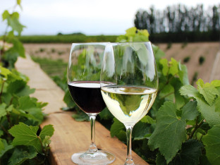 Vinarija iz Brčkog osvajila prestižnu nagradu u Beču