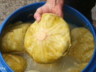 Zbog ovih greški vam se kiseli kupus kvari