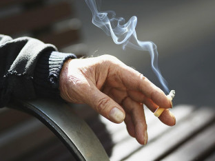 Da li ste znali da riječ cigara znači cvrčak