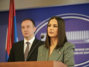 Vukomanović: Da li će Vlada povećati iznos materinskog dodatka