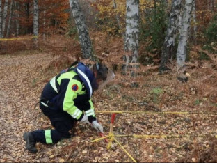 Србац укључен у пројекат деминирања на десној обали ријеке Саве