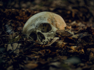 Misteriozna lobanja iznenadila i zbunila arheologe