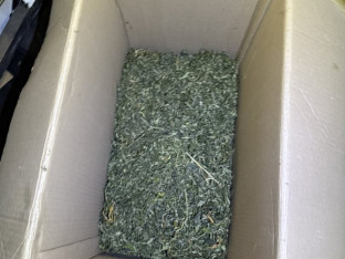 U Šamcu pronađena skoro četiri kilograma marihuane, uhapšen muškarac (VIDEO)