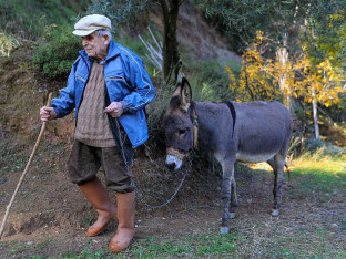 Magarac kao oči i uši: Dirljiva priča slijepog pastira