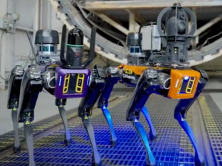 Robotski pas nova era kontrole viskija