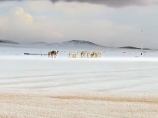Snijeg u Saudijskoj Arabiji – zimske čarolije u pustinji (VIDEO)