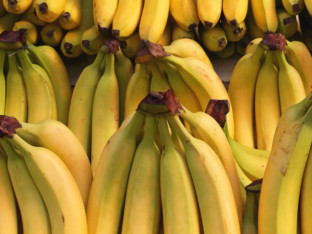Banane su mnogo zdravije nego što mislite