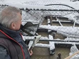 Потпуно уништен рибњак породице Делић