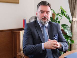 Košarac i Ginkel o Južnoj interkonekciji