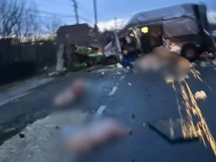 Prasići stradali u jezivom sudaru tri vozila