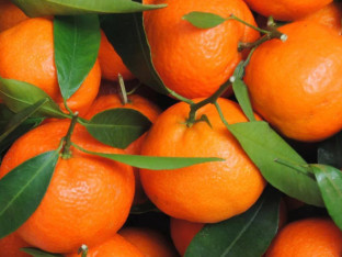 Znate li koliko mandarina je previše za organizam?