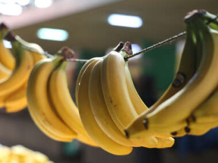 Cijelog života pogrešno jedemo banane? Ovo je jedini ispravan način, prema stručnjacima