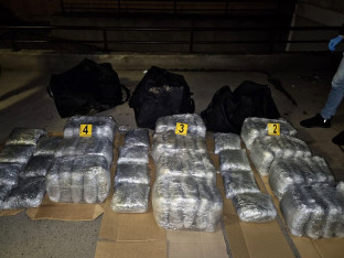 Velika akcija policije u Beogradu: Zaplijenjeno 80 kilograma marihuane
