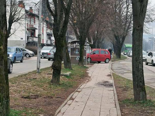 Бахатост достигла врхунац