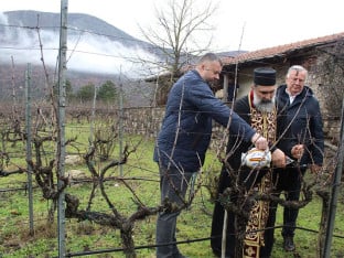 Podrumi "Vukoje" obilježili Svetog Trifuna