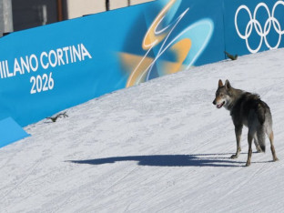 Nepozvani gost na Zimskim olimpijskim igrama