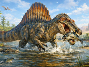 Otkriven Spinosaurus: Praistorijski ribolovac iz Sahare