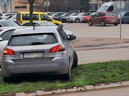 Бахатост достигла врхунац