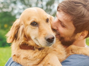 Pet stvari pokazuju da vas pas iskreno voli