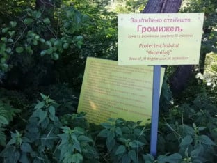 Дронови над "Громижељом": Почиње обнова мочварног екосистема