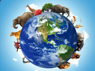 Jedna životinja mogla bi biti posljednja na Zemlji nakon globalne katastrofe