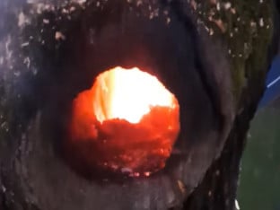 Гром запалио дрво у бањалучком парку (ВИДЕО)