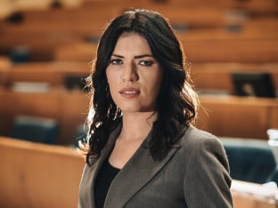 Sanja Vulić: Pod plaštom smanjenja akciza Savjetu ministara daju nova ovlašćenja