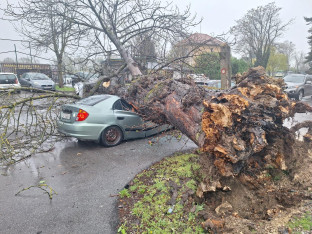 Jak vjetar i olujno nevrijeme u regionu: Stablo palo na automobil (FOTO)