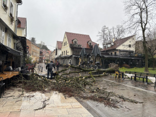 Alarmantno u Zagrebu: Orkanski udari vjetra dostižu 120 kilometara na sat