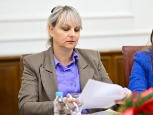 Савић-Бањац о уклањању дрвореда у Новој Вароши