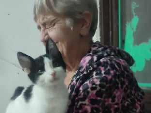 Осам маца чека дом: Настављена хумана мисија Вахдете Даде Гунић