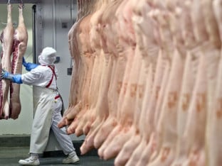 Руски захтјеви и домаћи капацитети коче извоз меса и млијека