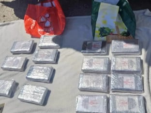 Novosađani pali sa 15 kilograma kokaina