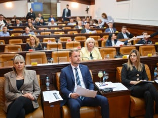 Станивуковић: На једну врбу биће засађено 50 нових