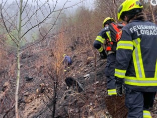 Austrijanci optužuju Srbe: Pošumljavali, pa izazvali požar