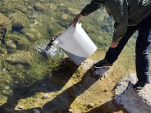 Херцеговачки рибари порибљавају воде