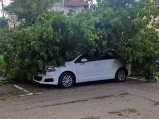 Пало дрво на аутомобил у Бањалуци