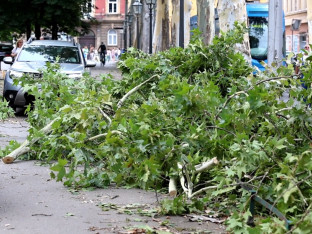 Olujno nevrijeme rušilo drveće i nosilo krovove