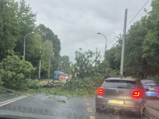 Jako nevrijeme pogodilo Zagreb: Padala stabla, stali tramvaji