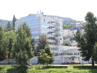Ko može slomiti bonsku batinu