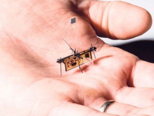 Roboti-insekti polako postaju stvarnost: Naučnici prvi put „presjekli kablove”