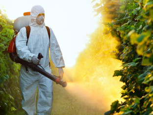 Zanimljivosti o pesticidima