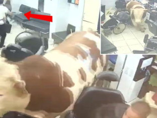 Haos u Istanbulu: Bik uletio u frizerski salon (VIDEO)