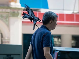 Вране у нападу на Бањалучане