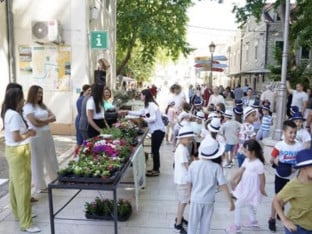 У Требињу бесплатне саднице цвијећа