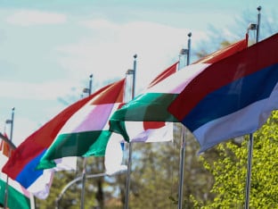 Srbi i Mađari: Od neprijatelja do bliskih saradnika