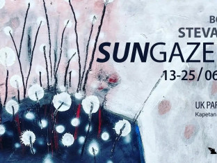 Otvorena izložba "Sungazers" Bojana Stevanića u Beogradu: Ljudska bića teže svjetlosti