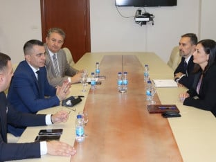 Podrška zajedničkim aktivnostima na unapređenju saradnje sa dijasporom